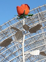 LBM19 Rose verkleinert